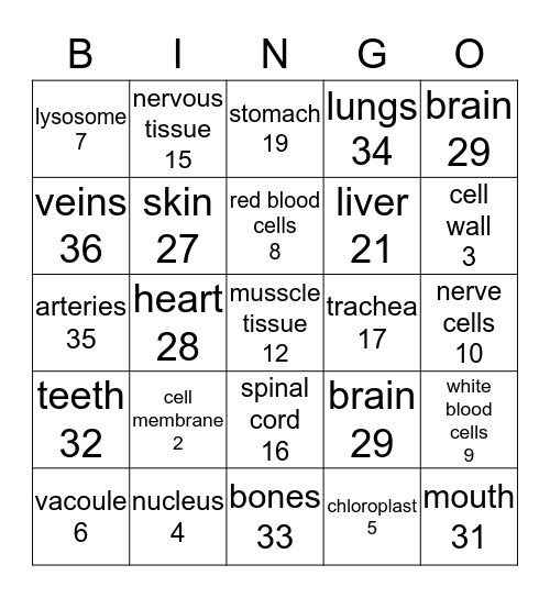 Science Bingo Card