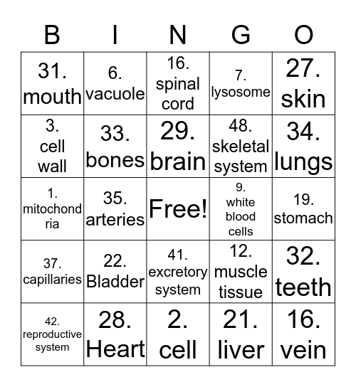 Science Bingo Card