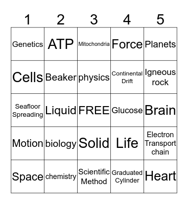 Science Vocabulary Bingo Card