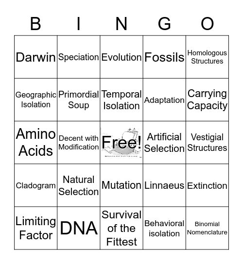 Evolution Bingo!   Bingo Card