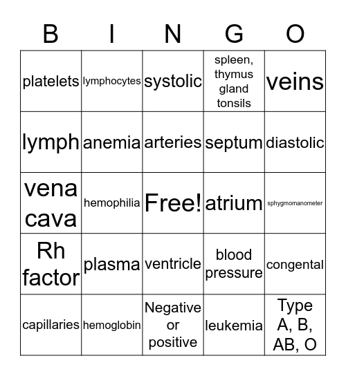 The Cardiovascular system Bingo Card