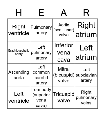 The Heart Bingo Card