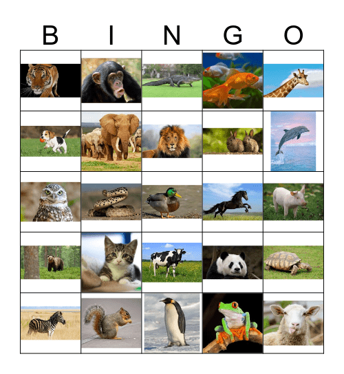 Animal Bingo! Bingo Card