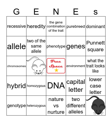 Genetics Basics Bingo Card