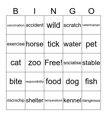 animal care Bingo Card