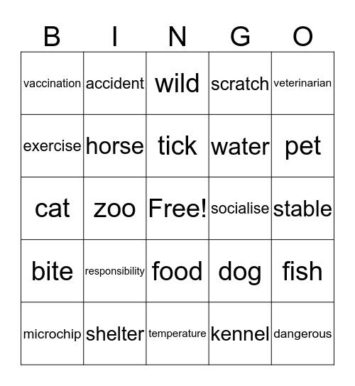 animal care Bingo Card