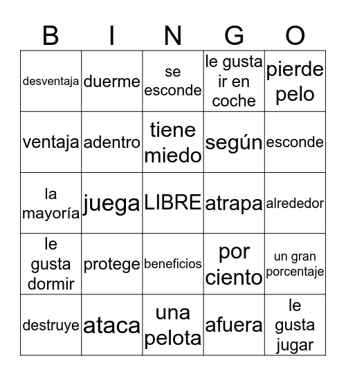 Mascotas Segundo Día  Bingo Card