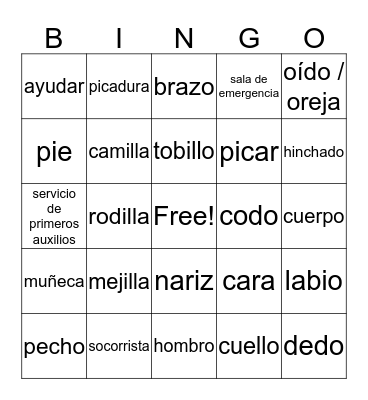 Spanish 3 Chapter 8 Group 1 Bingo Card