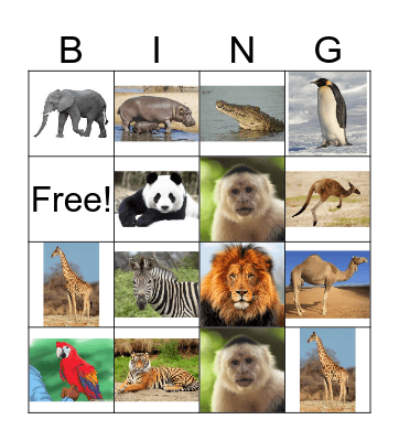 Animal Bingo Card