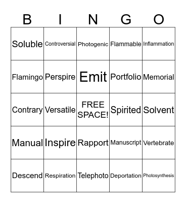 Vocab Review Bingo! Bingo Card