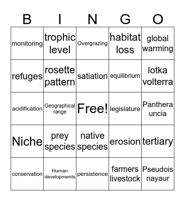 Snow Leopard Vocab Bingo Card