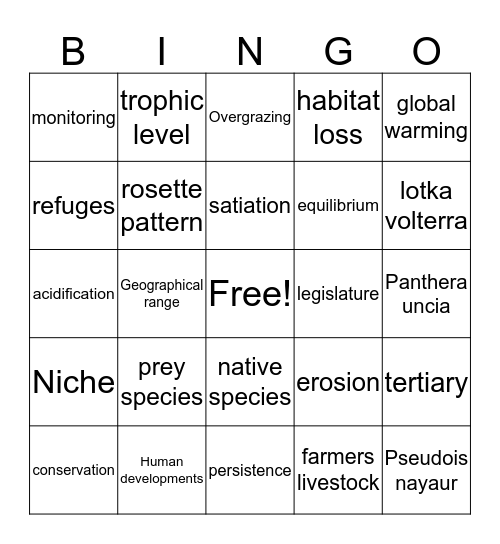 Snow Leopard Vocab Bingo Card