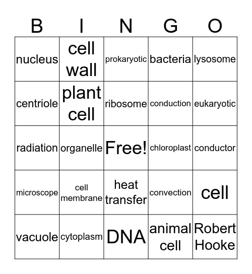 Science Review Bingo Card