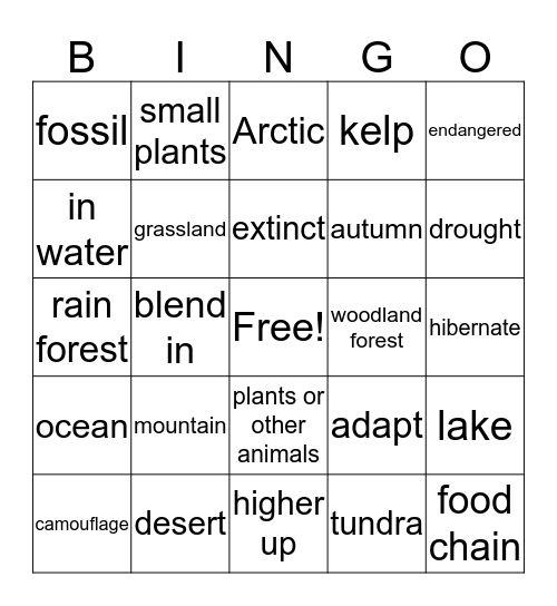 HEC Science Bingo Card