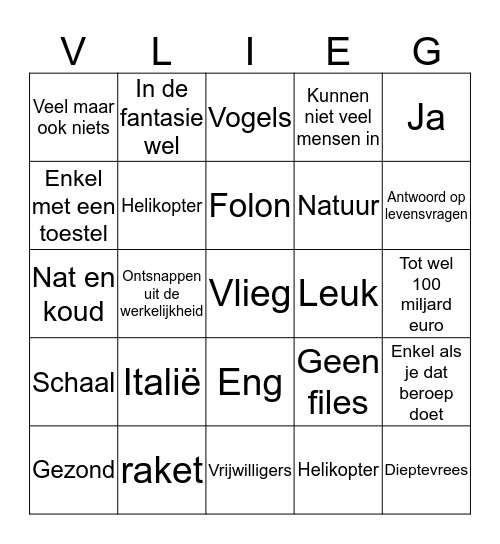 Vliegen Bingo Card