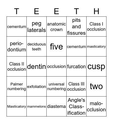 Dentition Types and Parts Bingo Card