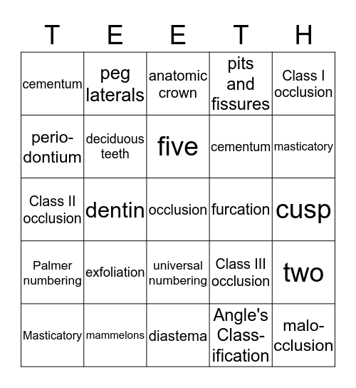 Dentition Types and Parts Bingo Card