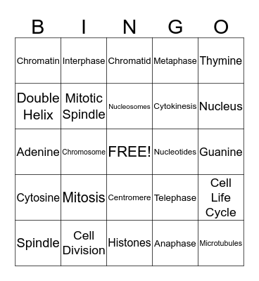 Mitosis Bingo Card