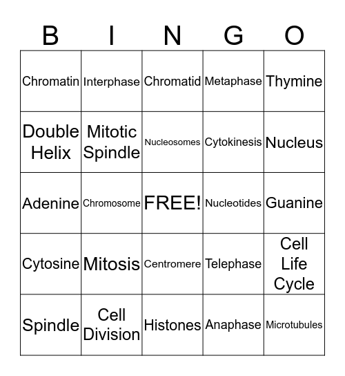 Mitosis Bingo Card