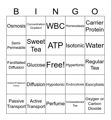 Cell Transport  Bingo Card