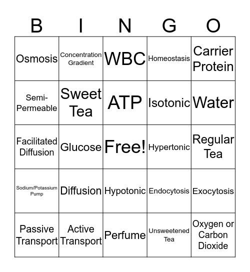 Cell Transport  Bingo Card