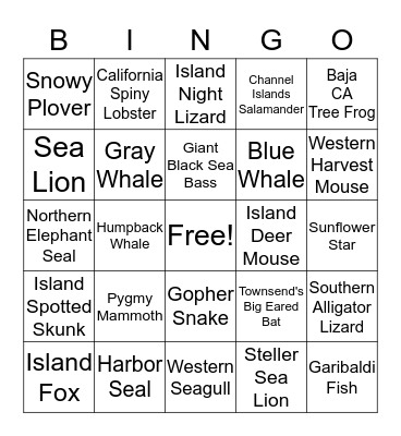 Channel Islands Animal Bingo Card