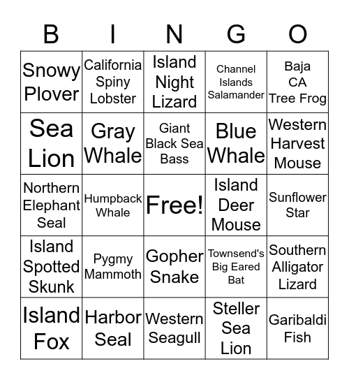 Channel Islands Animal Bingo Card