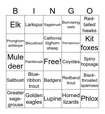 Owyhee Wildlife and Vegetation Bingo  Bingo Card