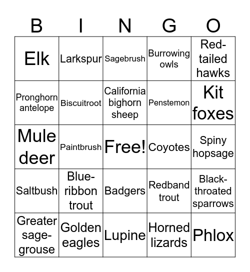 Owyhee Wildlife and Vegetation Bingo  Bingo Card