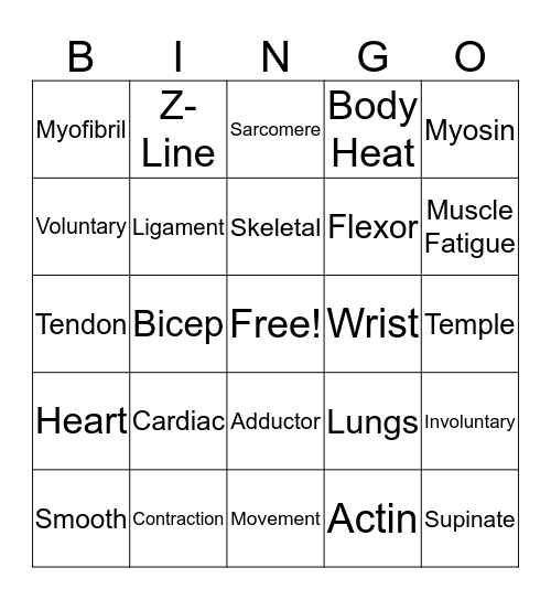Muscular System Bingo Card