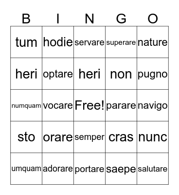 Latin Lessons 1-8 Bingo Card