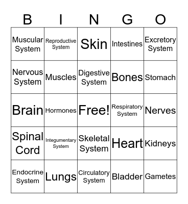 Body Systems Bingo Card