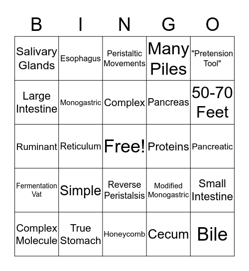 DIGESTIVE SYSTEM Bingo Card