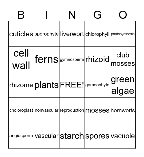 Plants Bingo Card