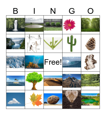 Environment Bingo Card