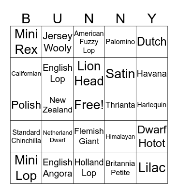 Rabbit Breed Bingo Card