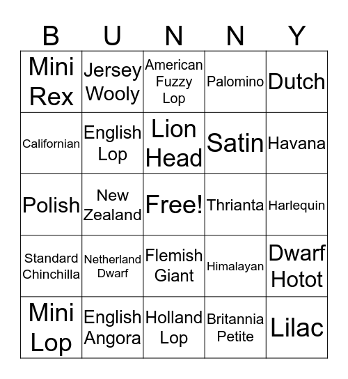 Rabbit Breed Bingo Card