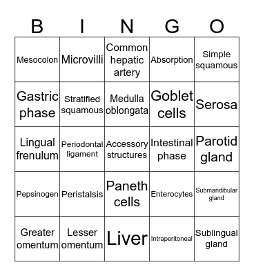 Digestive System Bingo Card