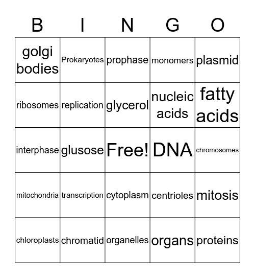 biology cells/DNA/transport/division/biochemistry Bingo Card
