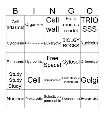 Week 4: Biology Bingo Card