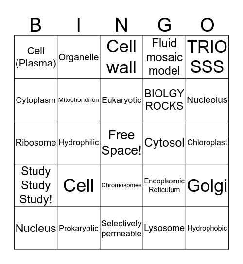 Week 4: Biology Bingo Card