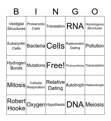 Biology SOL Review Bingo Card