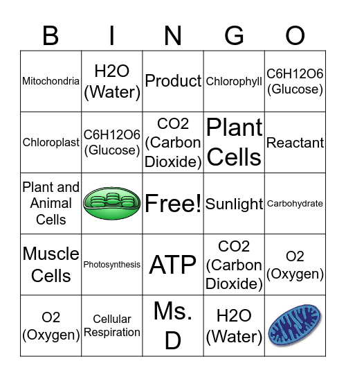 Cellular Energy  Bingo Card