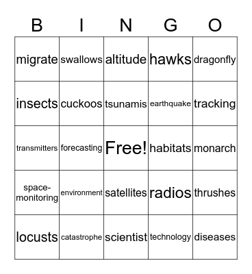 Mysterious Migrations Bingo Card