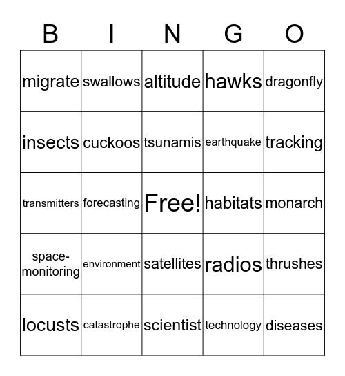 Mysterious Migrations Bingo Card