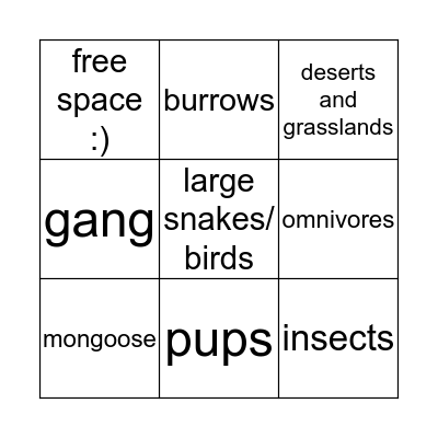 Meerkat Bingo Card