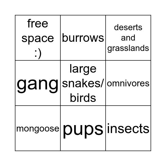 Meerkat Bingo Card