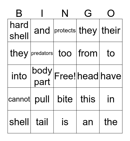 Turtles Bingo Card