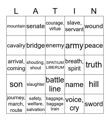 LATIN NOUNS Bingo Card