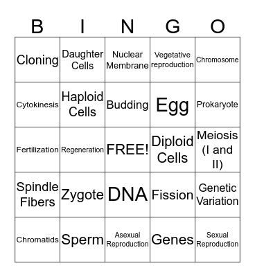 Reproduction BINGO Card